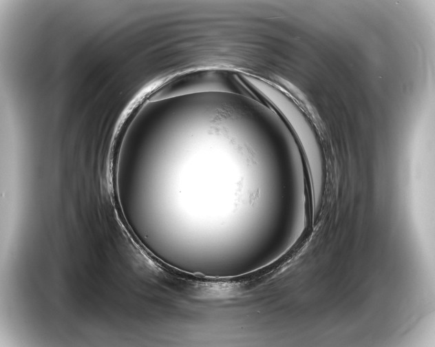 X0000085751188200703161047