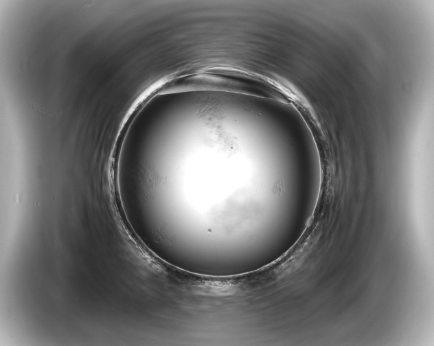 X0000085751190200703161047