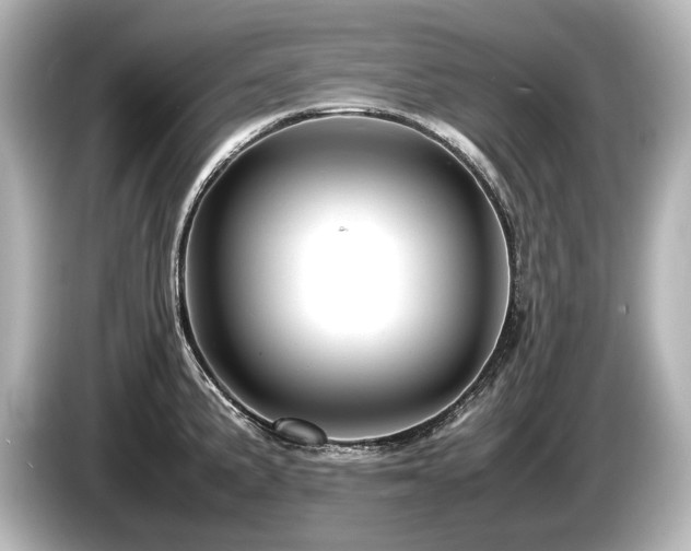 X0000085751191200703161047