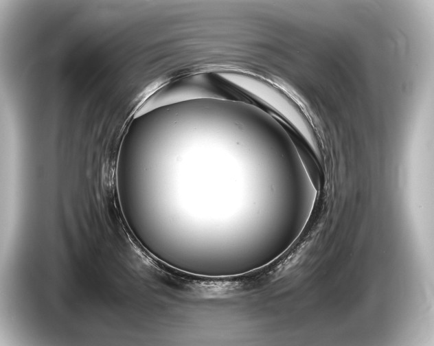 X0000085751193200703161047