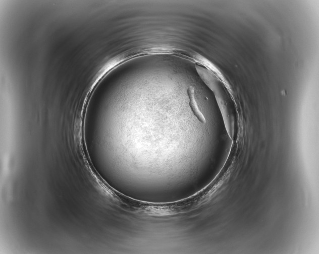 X0000085751194200703161047
