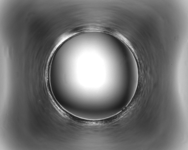X0000085751195200703161047