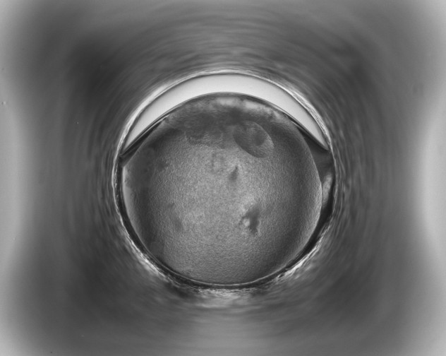 X0000085751197200703161047