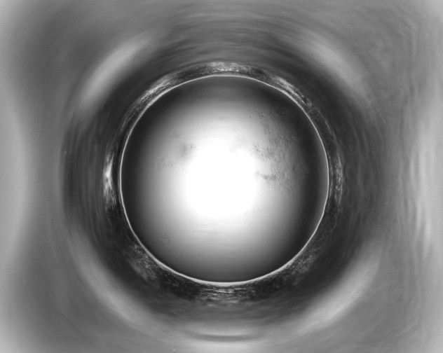 X0000085751198200703161047
