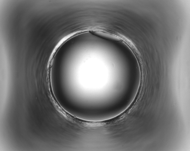 X0000085751200200703161047
