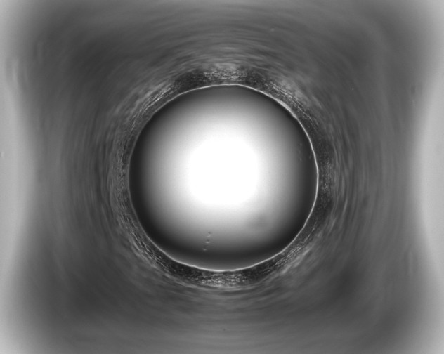X0000085751201200703161046