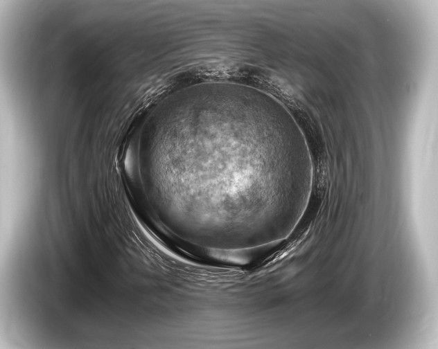 X0000085751202200703161046
