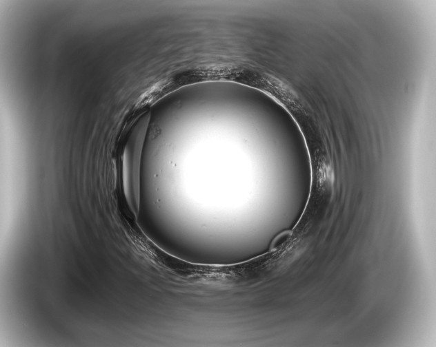 X0000085751204200703161046