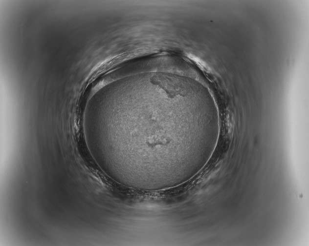 X0000085751206200703161046