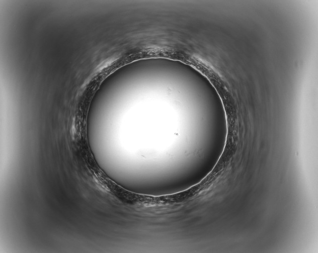 X0000085751207200703161046