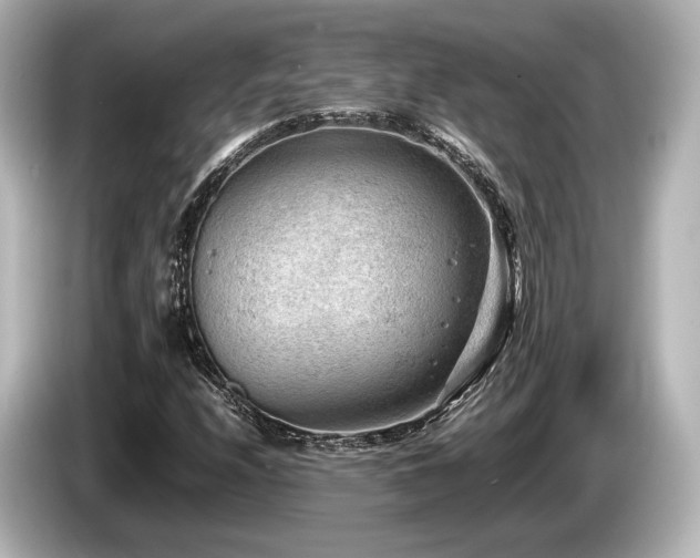 X0000085751208200703161046