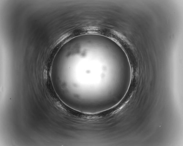 X0000085751209200703161046