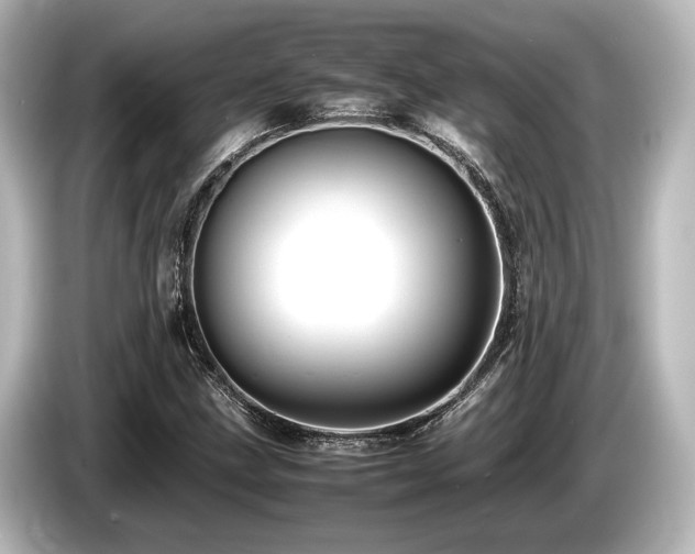 X0000085751211200703161046