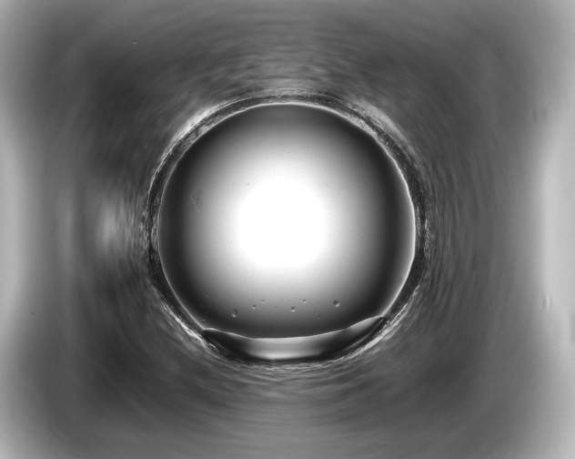 X0000085751212200703161046
