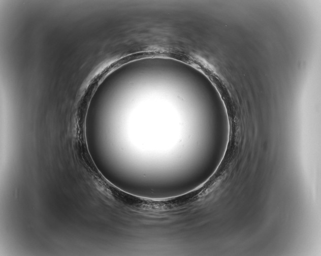 X0000085751215200703161046