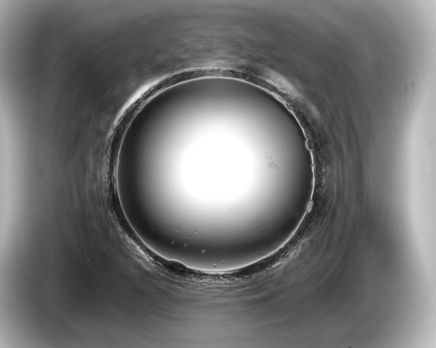 X0000085751216200703161046