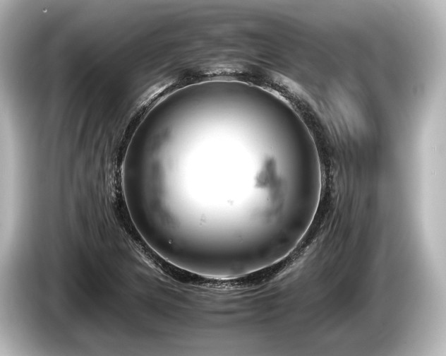 X0000085751217200703161046