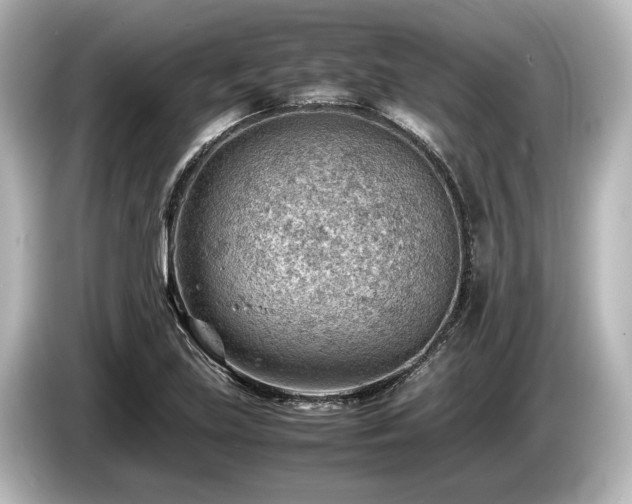 X0000085751219200703161046
