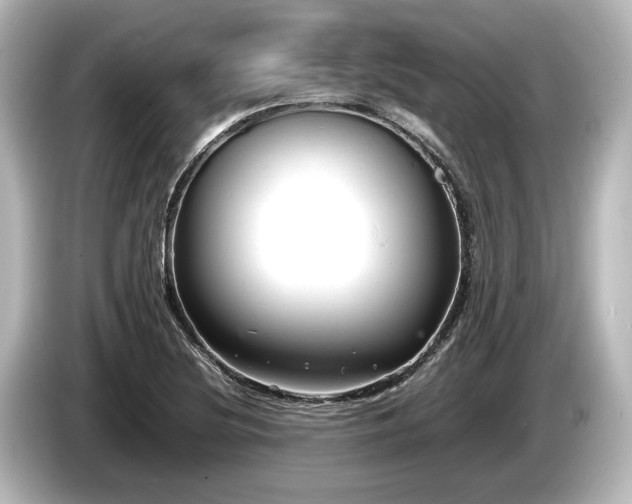 X0000085751220200703161046