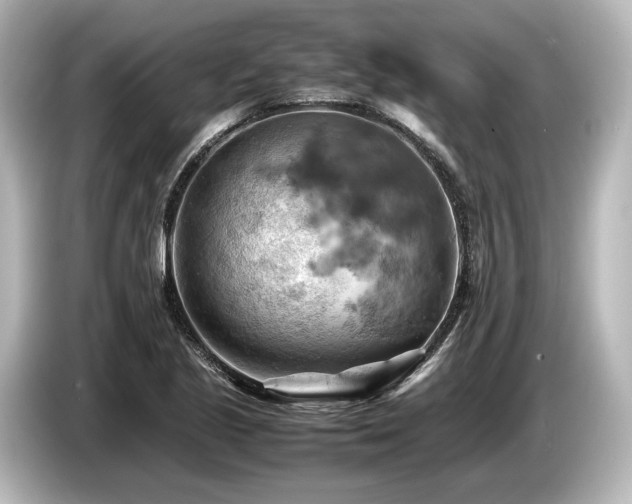 X0000085751221200703161046