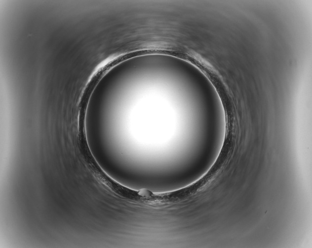 X0000085751222200703161046