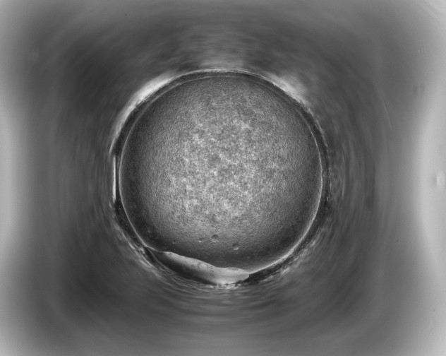 X0000085751223200703161046
