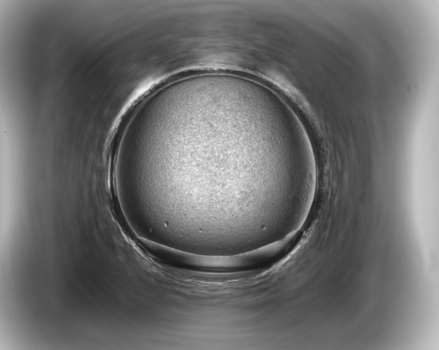 X0000085751224200703161046
