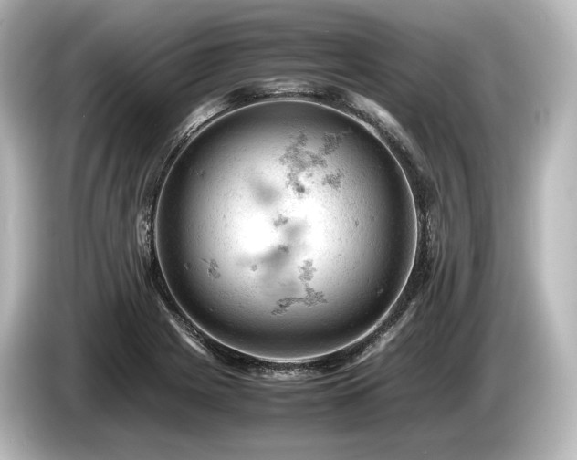 X0000085751225200703161046