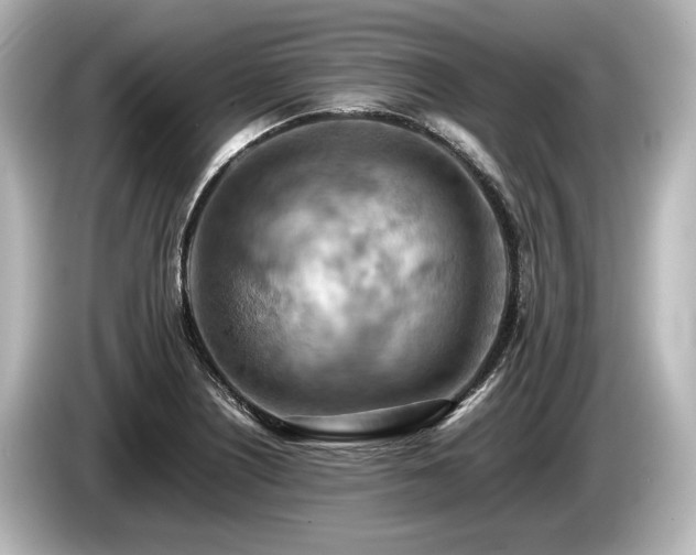 X0000085751226200703161047