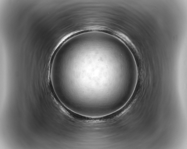 X0000085751228200703161047