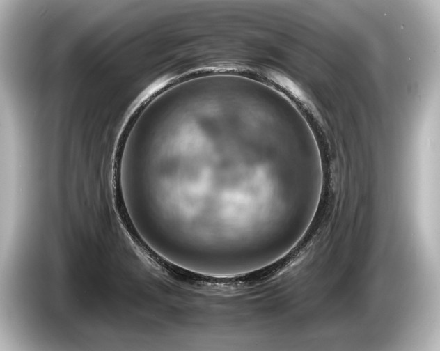 X0000085751229200703161047