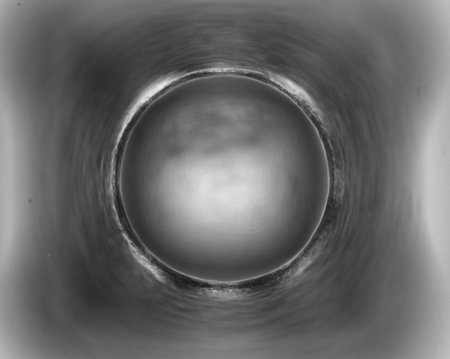 X0000085751231200703161047