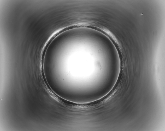 X0000085751232200703161047