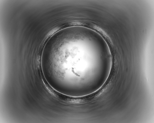 X0000085751233200703161047