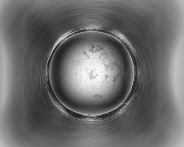 X0000085751234200703161047