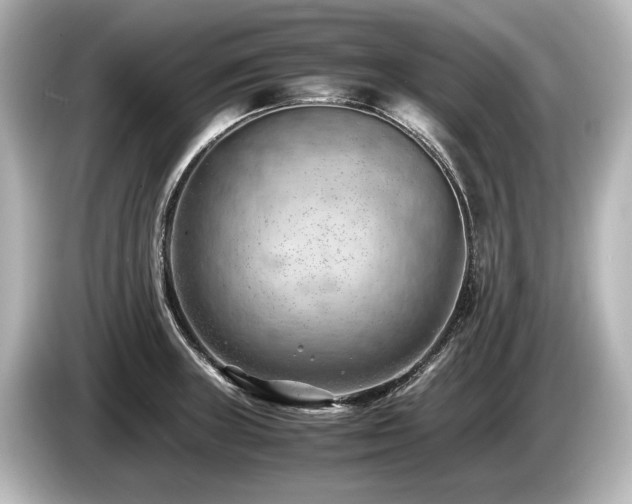 X0000085751235200703161047