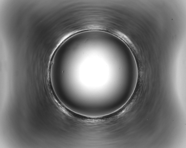 X0000085751236200703161047