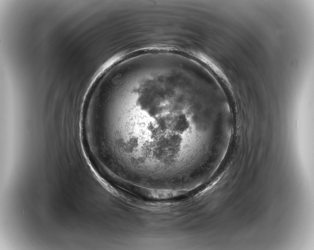 X0000085751237200703161047
