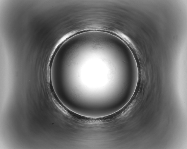 X0000085751238200703161047