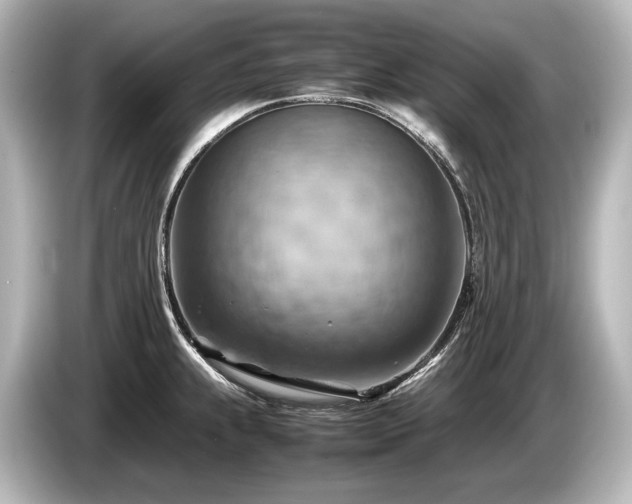 X0000085751239200703161047