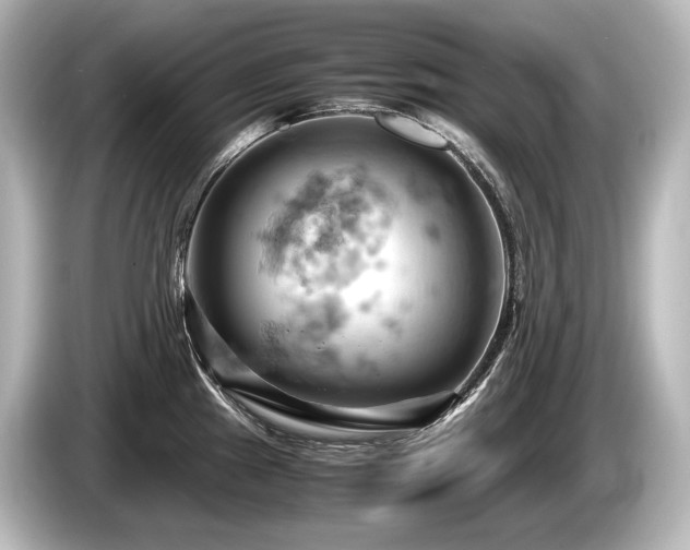 X0000085751241200703161047