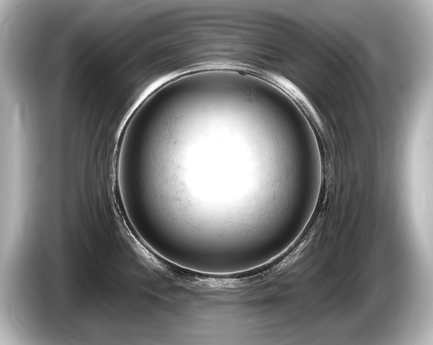 X0000085751244200703161047