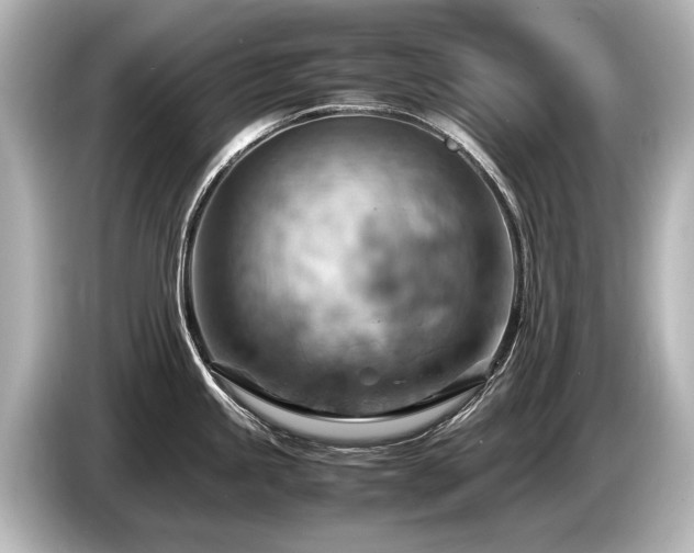 X0000085751245200703161047