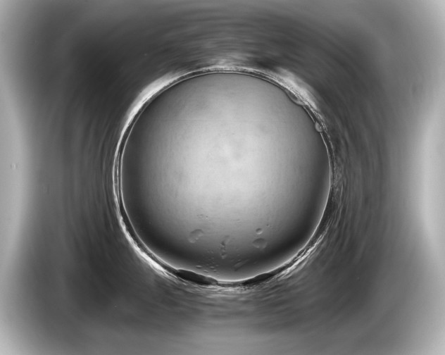 X0000085751247200703161047