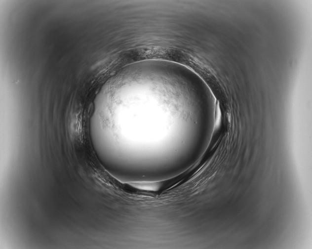 X0000085751250200703161046