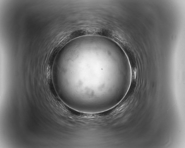 X0000085751251200703161046