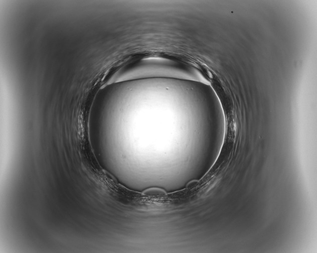 X0000085751252200703161046