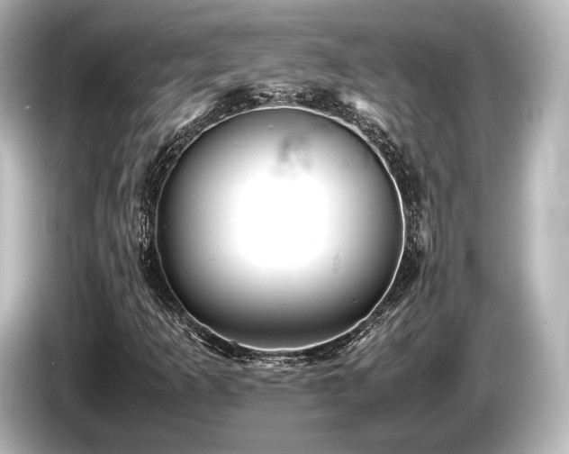 X0000085751253200703161046