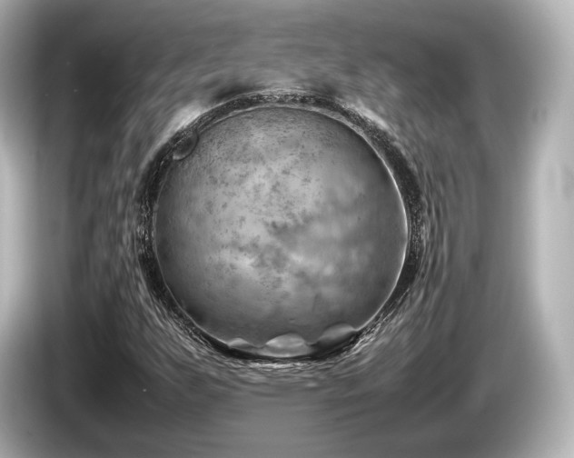 X0000085751255200703161046