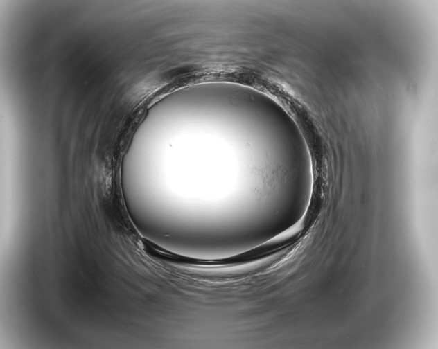 X0000085751257200703161046